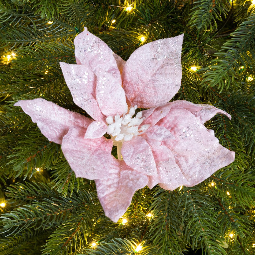 Fiore di Natale Velours a clips Rosa cipria 1